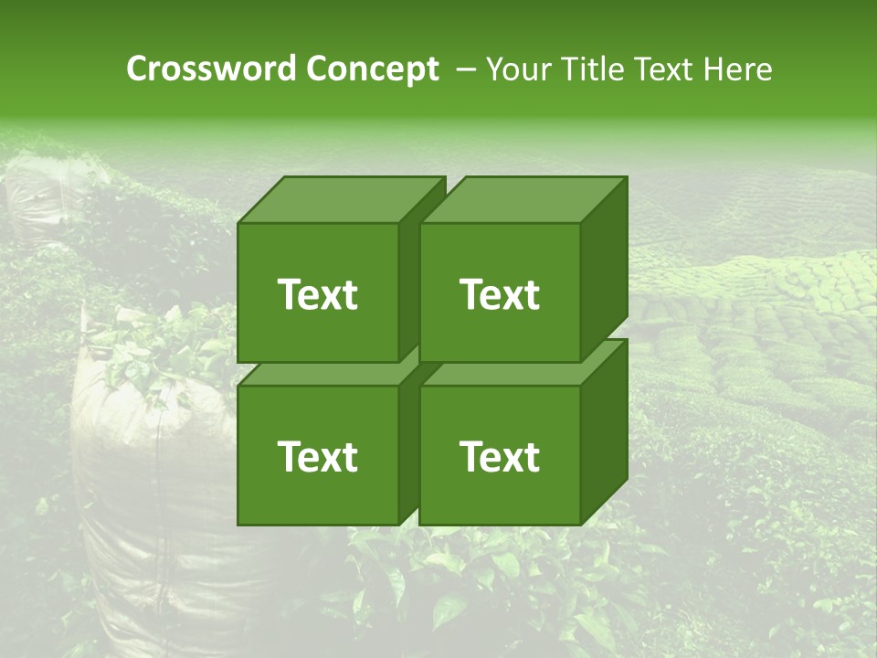 Farmland Japan Landscape PowerPoint Template