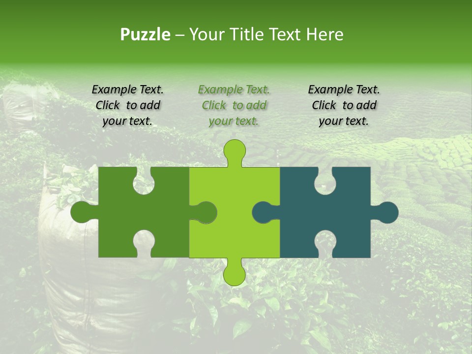 Farmland Japan Landscape PowerPoint Template