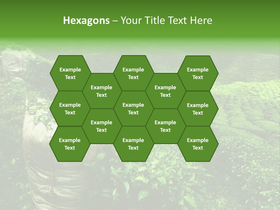 Farmland Japan Landscape PowerPoint Template