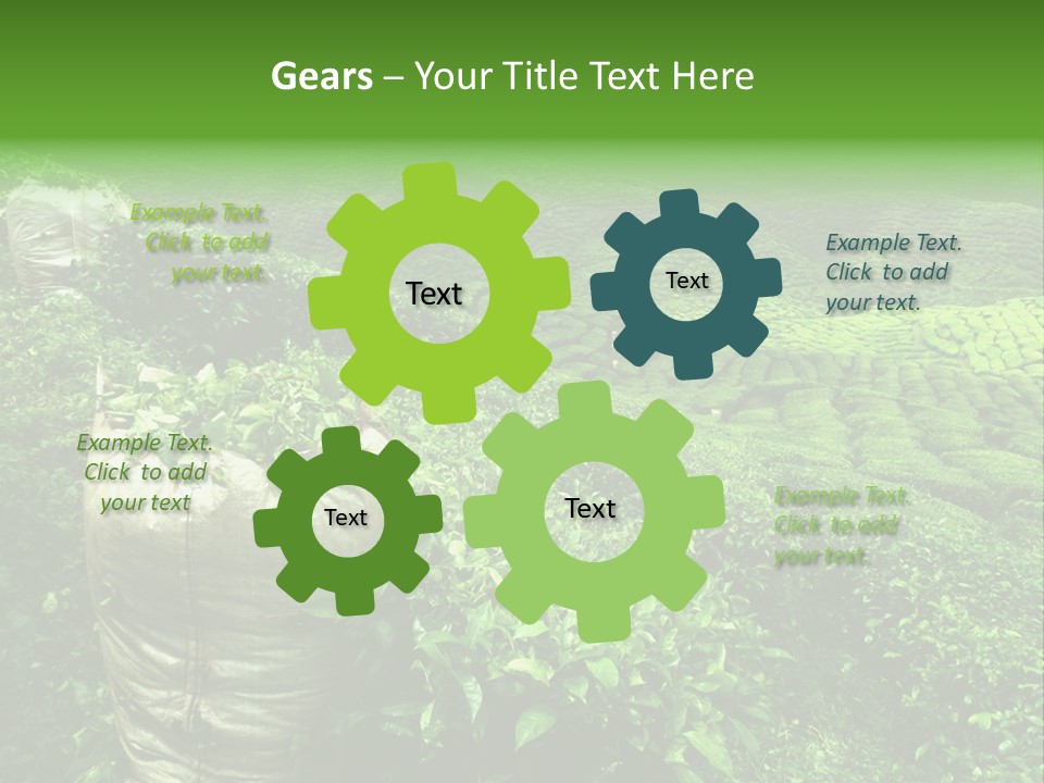 Farmland Japan Landscape PowerPoint Template