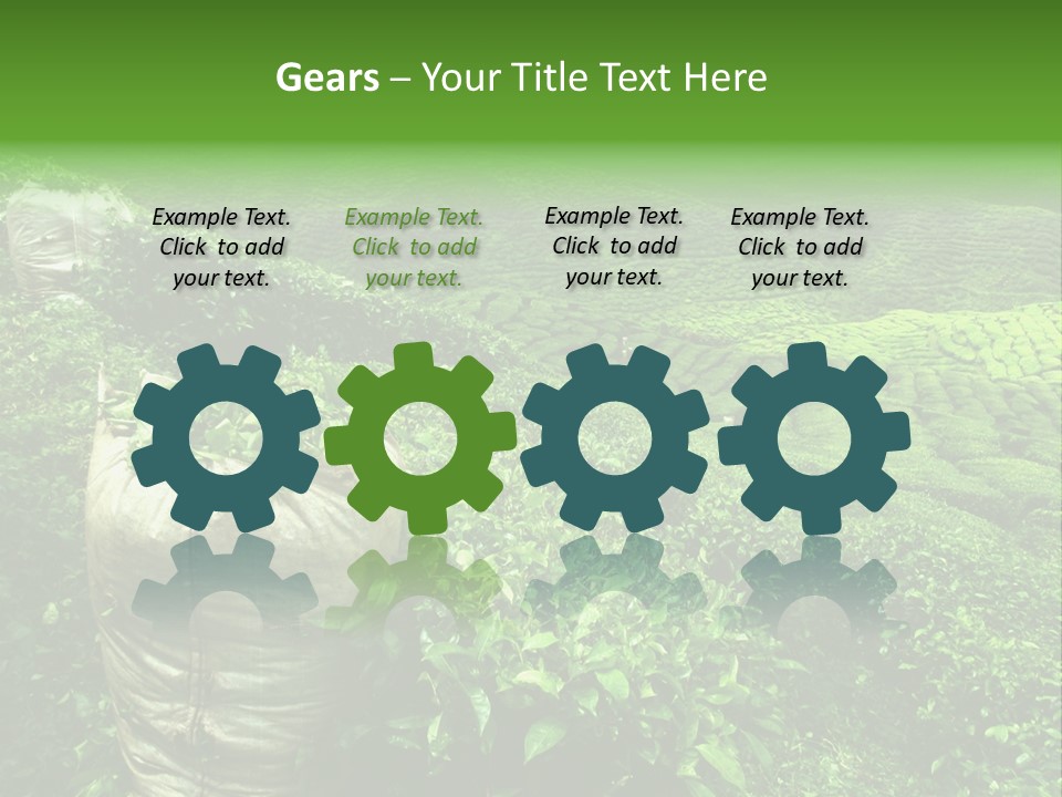 Farmland Japan Landscape PowerPoint Template