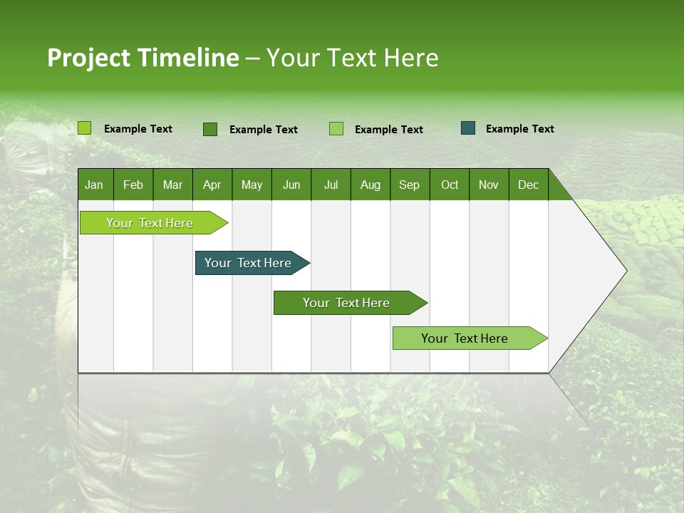 Farmland Japan Landscape PowerPoint Template