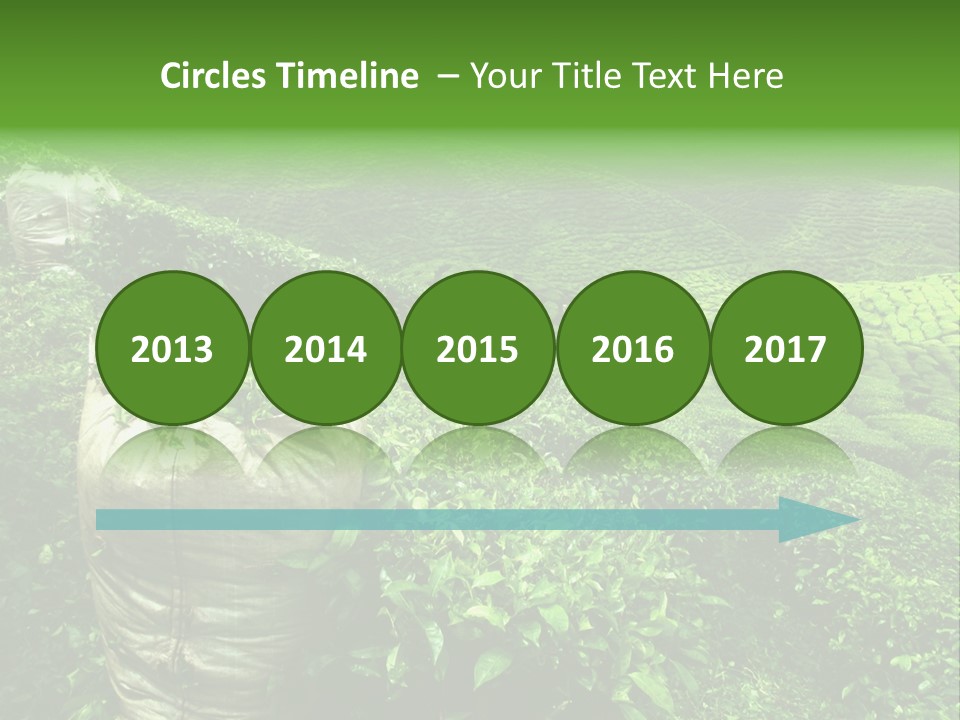 Farmland Japan Landscape PowerPoint Template