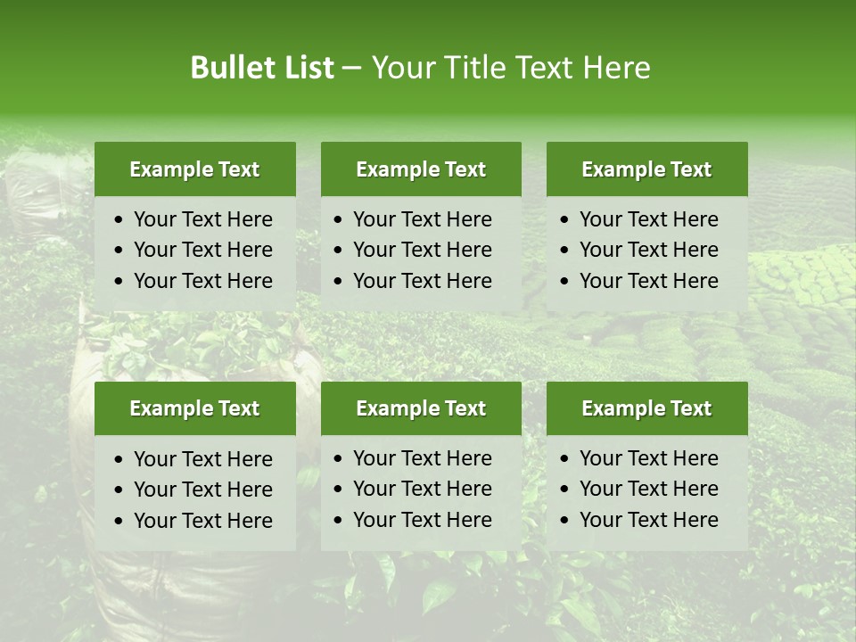 Farmland Japan Landscape PowerPoint Template