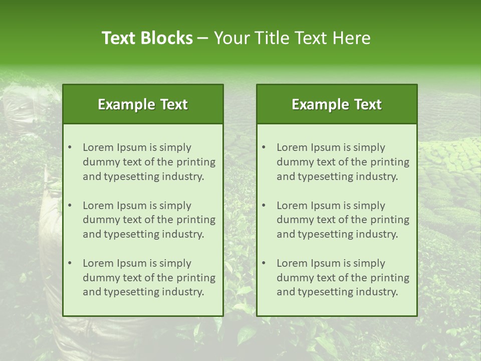 Farmland Japan Landscape PowerPoint Template