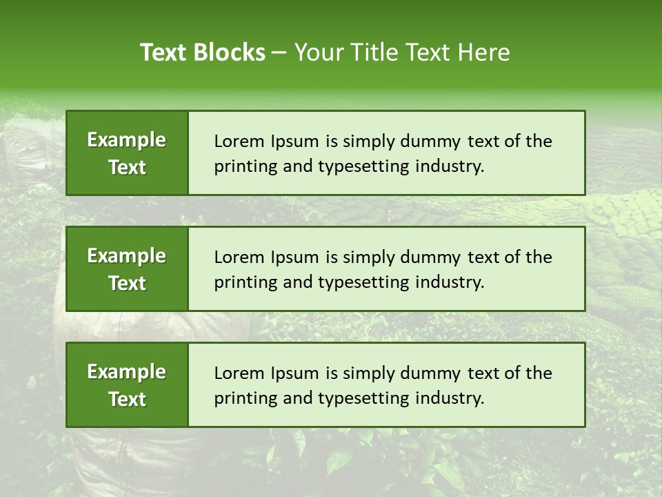 Farmland Japan Landscape PowerPoint Template