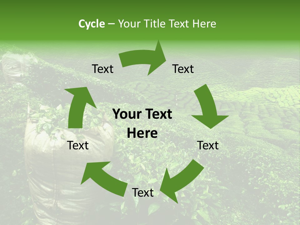 Farmland Japan Landscape PowerPoint Template