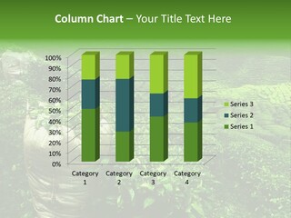 Farmland Japan Landscape PowerPoint Template