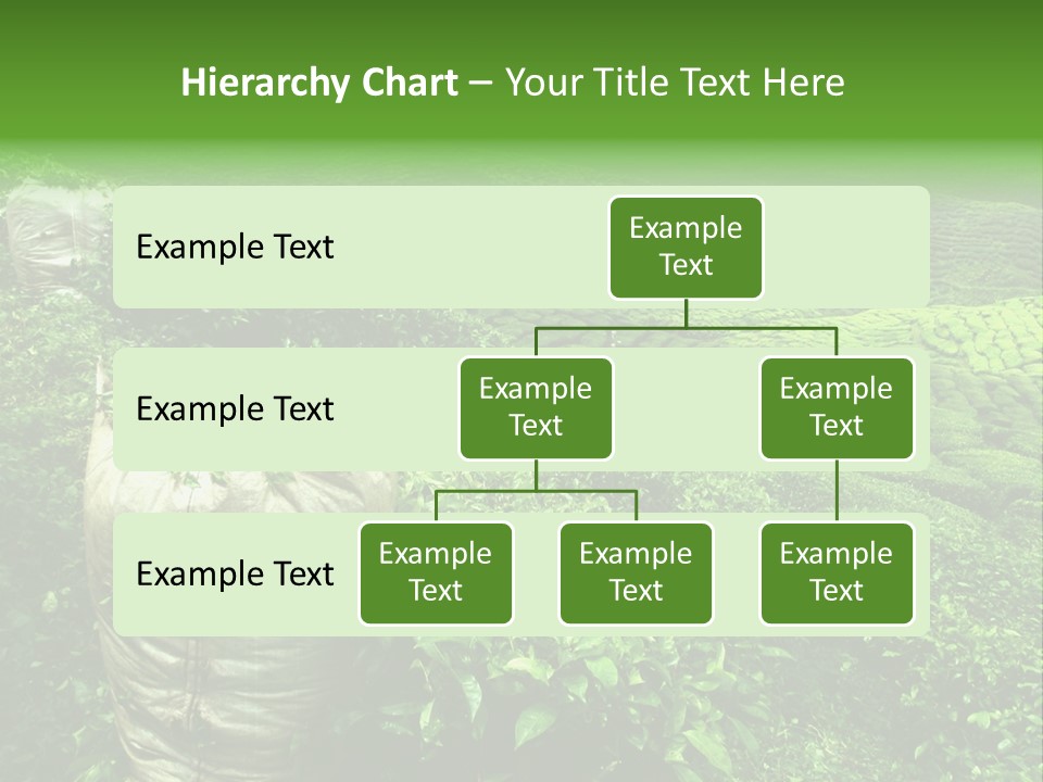 Farmland Japan Landscape PowerPoint Template