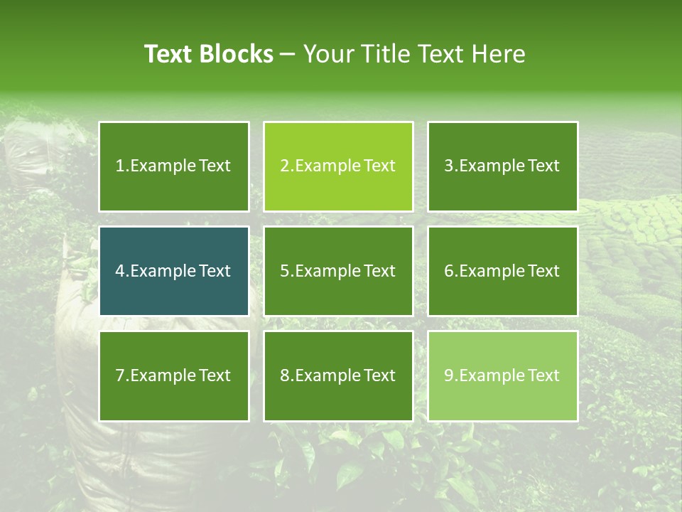 Farmland Japan Landscape PowerPoint Template
