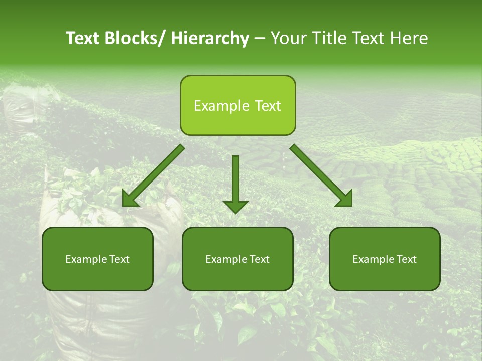 Farmland Japan Landscape PowerPoint Template