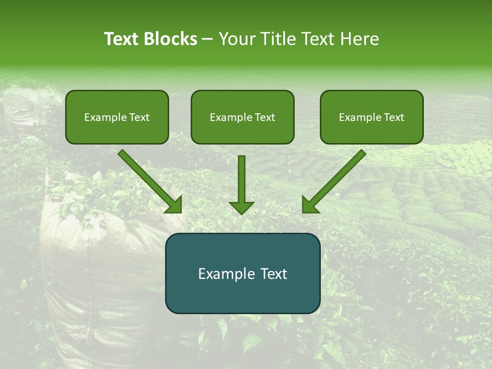 Farmland Japan Landscape PowerPoint Template