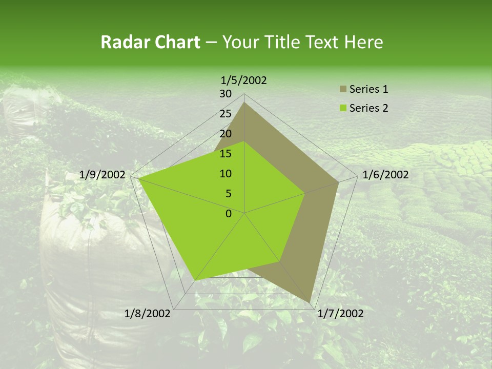 Farmland Japan Landscape PowerPoint Template