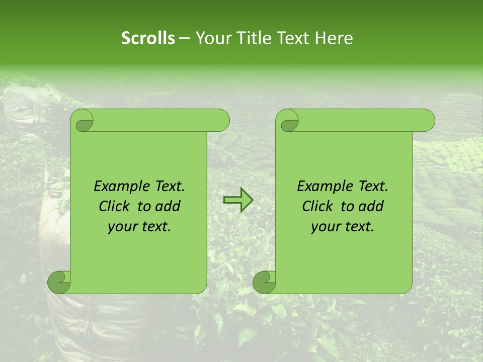 Farmland Japan Landscape PowerPoint Template