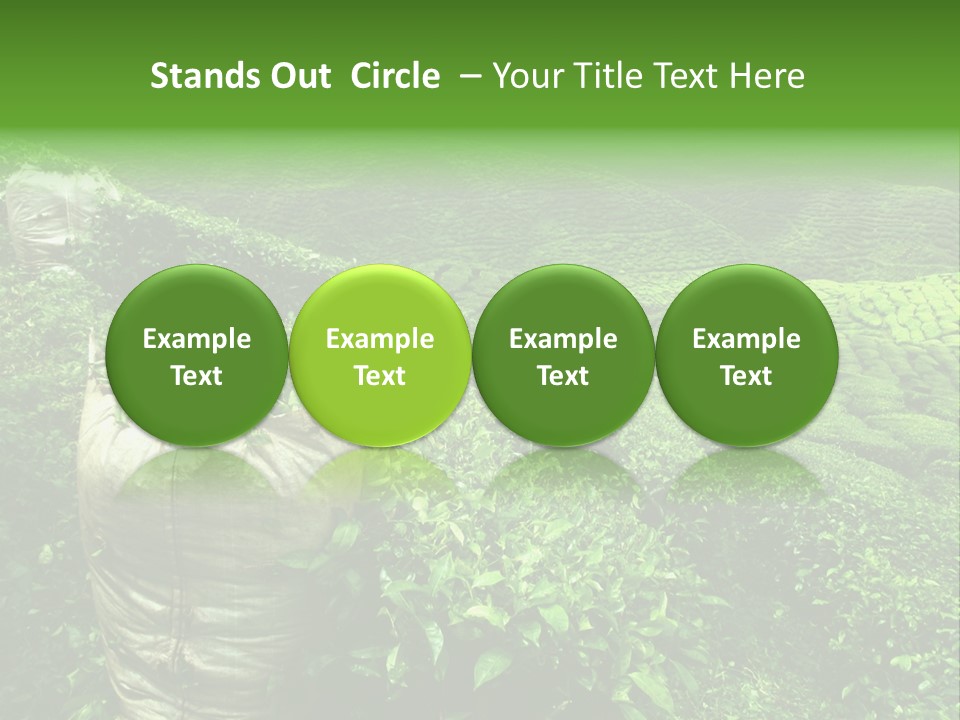 Farmland Japan Landscape PowerPoint Template