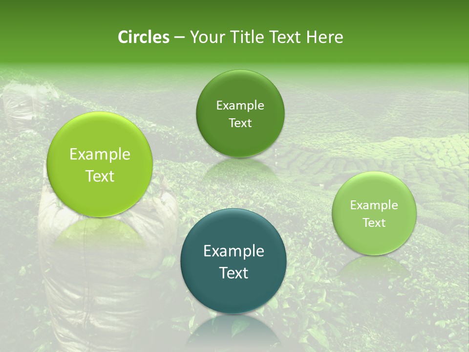 Farmland Japan Landscape PowerPoint Template