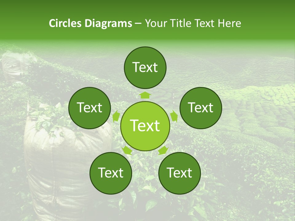 Farmland Japan Landscape PowerPoint Template