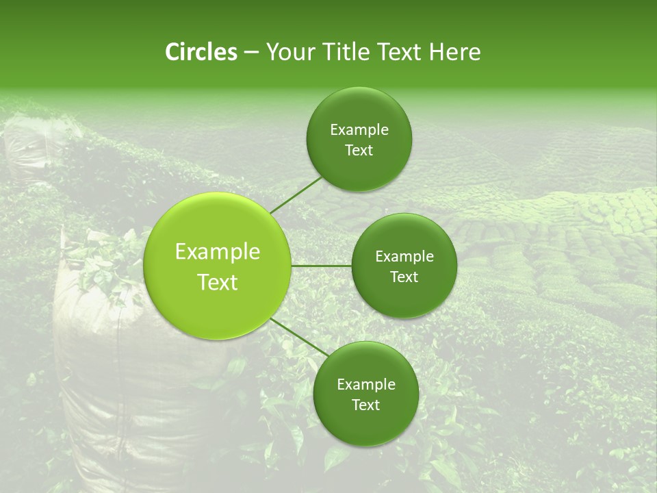 Farmland Japan Landscape PowerPoint Template