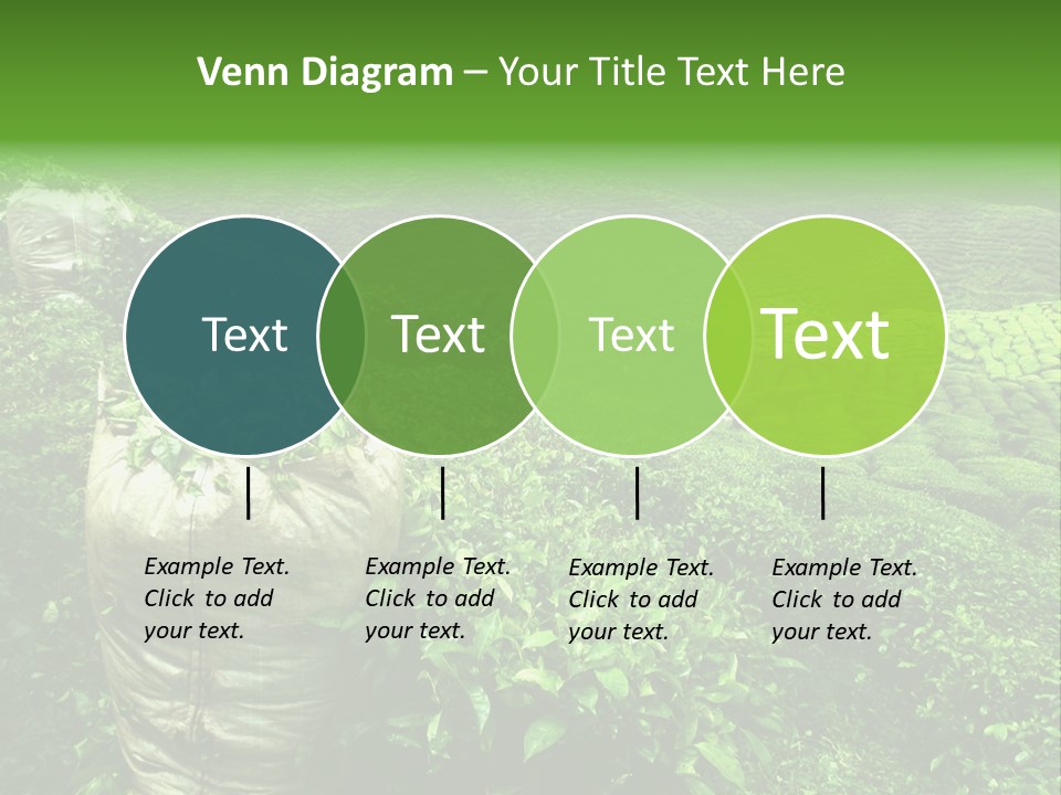 Farmland Japan Landscape PowerPoint Template