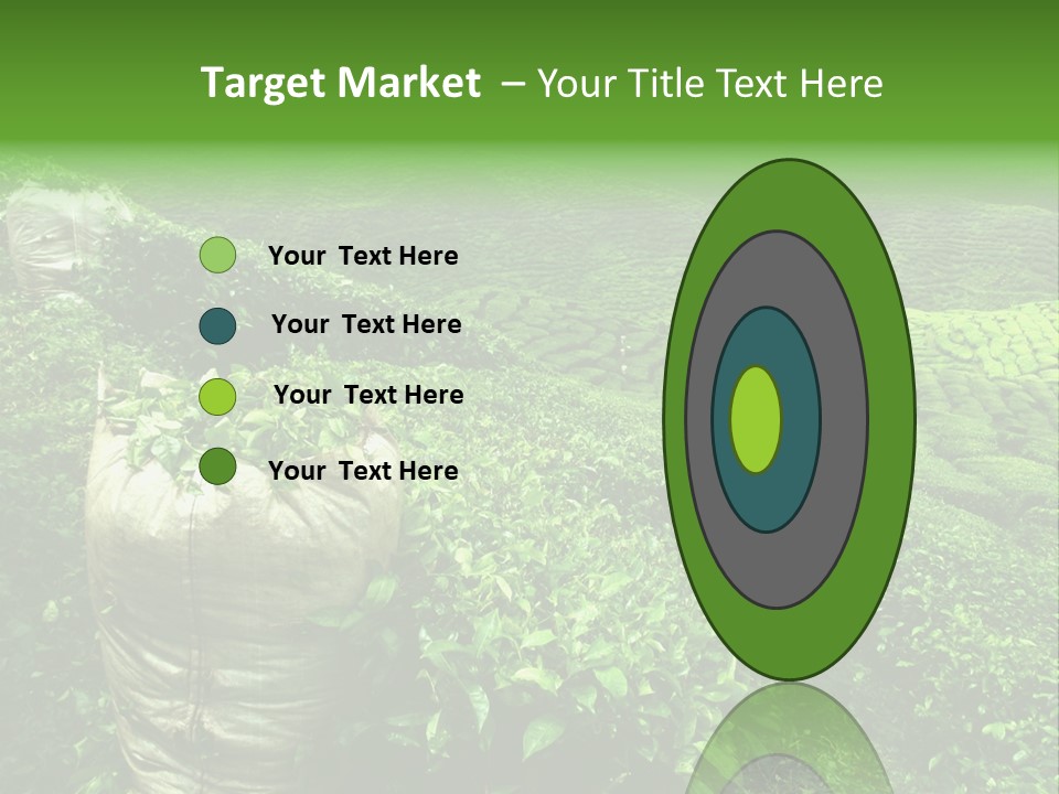 Farmland Japan Landscape PowerPoint Template