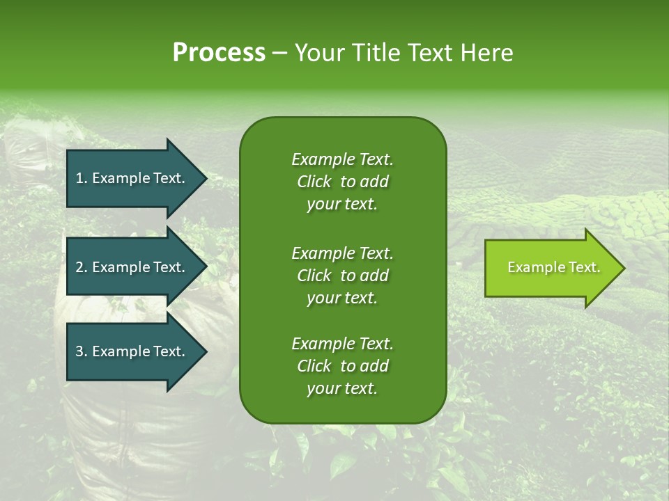 Farmland Japan Landscape PowerPoint Template