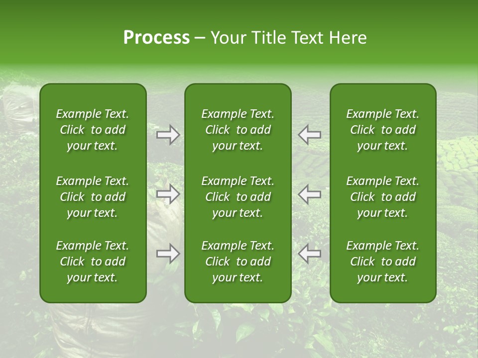 Farmland Japan Landscape PowerPoint Template