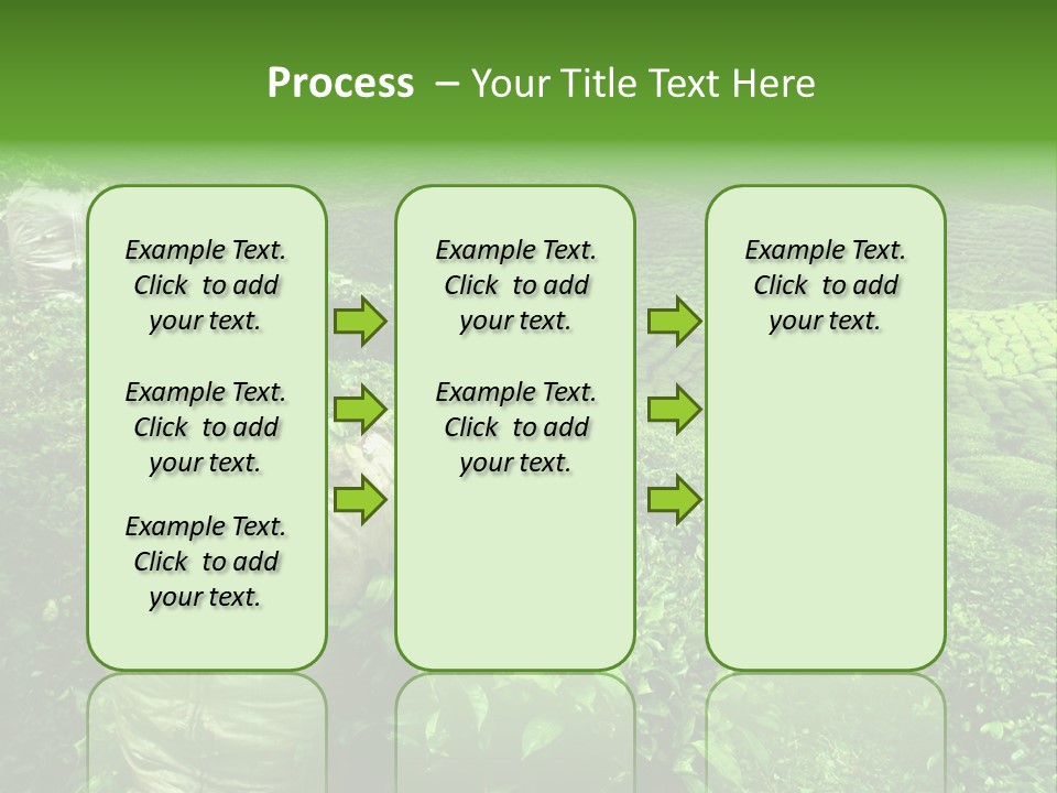 Farmland Japan Landscape PowerPoint Template