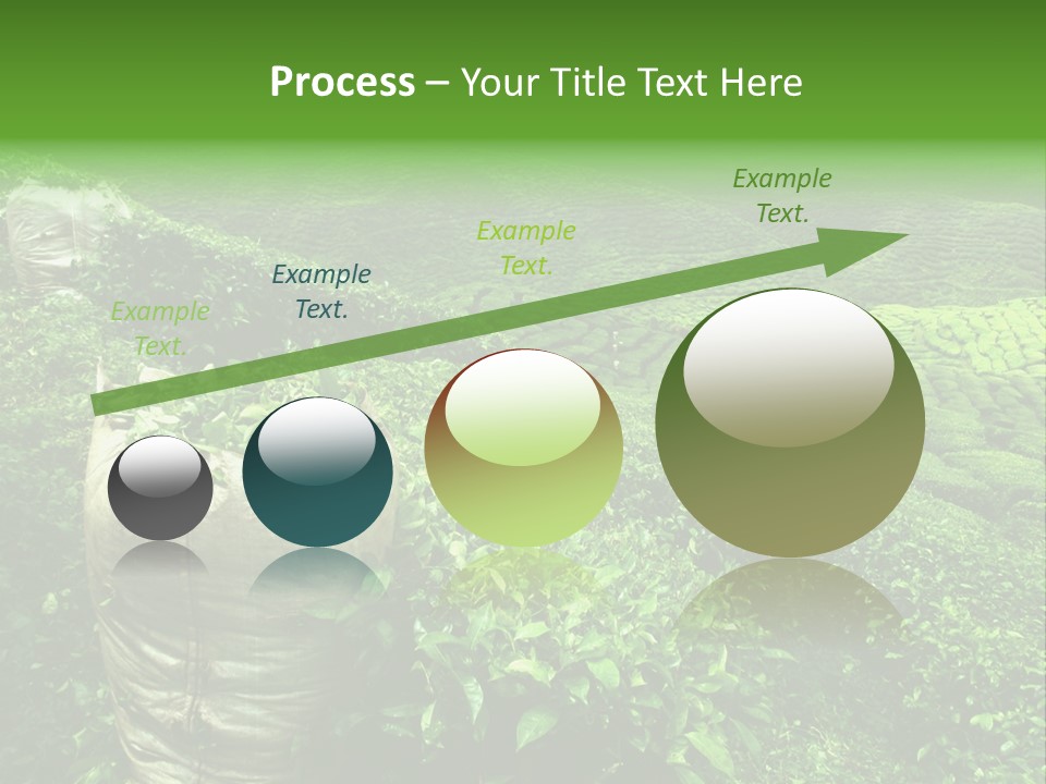 Farmland Japan Landscape PowerPoint Template