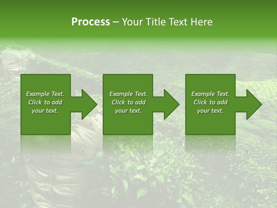 Farmland Japan Landscape PowerPoint Template