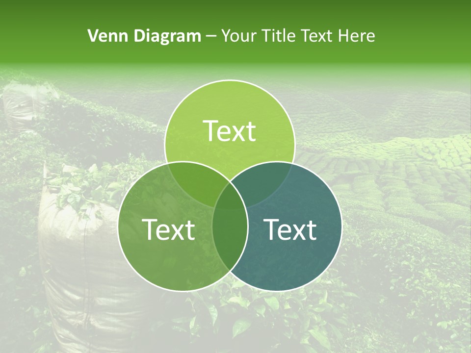 Farmland Japan Landscape PowerPoint Template