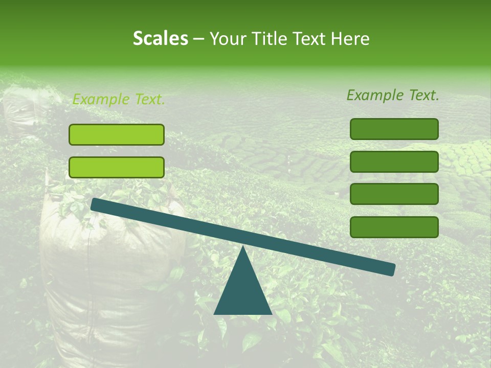 Farmland Japan Landscape PowerPoint Template