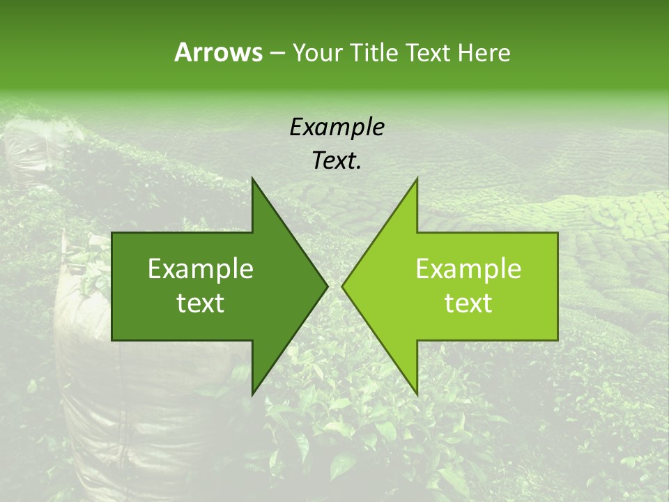 Farmland Japan Landscape PowerPoint Template