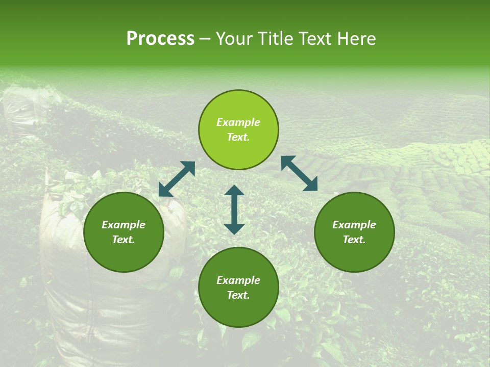 Farmland Japan Landscape PowerPoint Template
