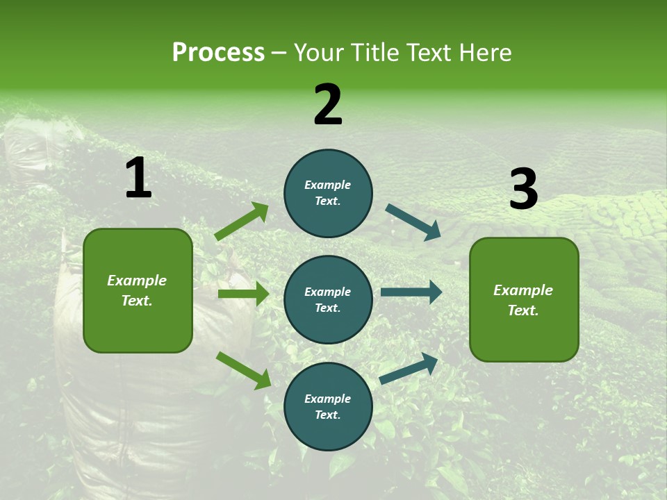 Farmland Japan Landscape PowerPoint Template