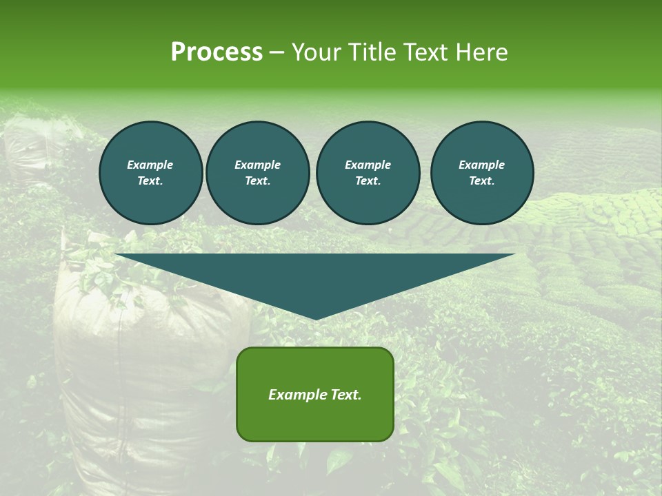 Farmland Japan Landscape PowerPoint Template
