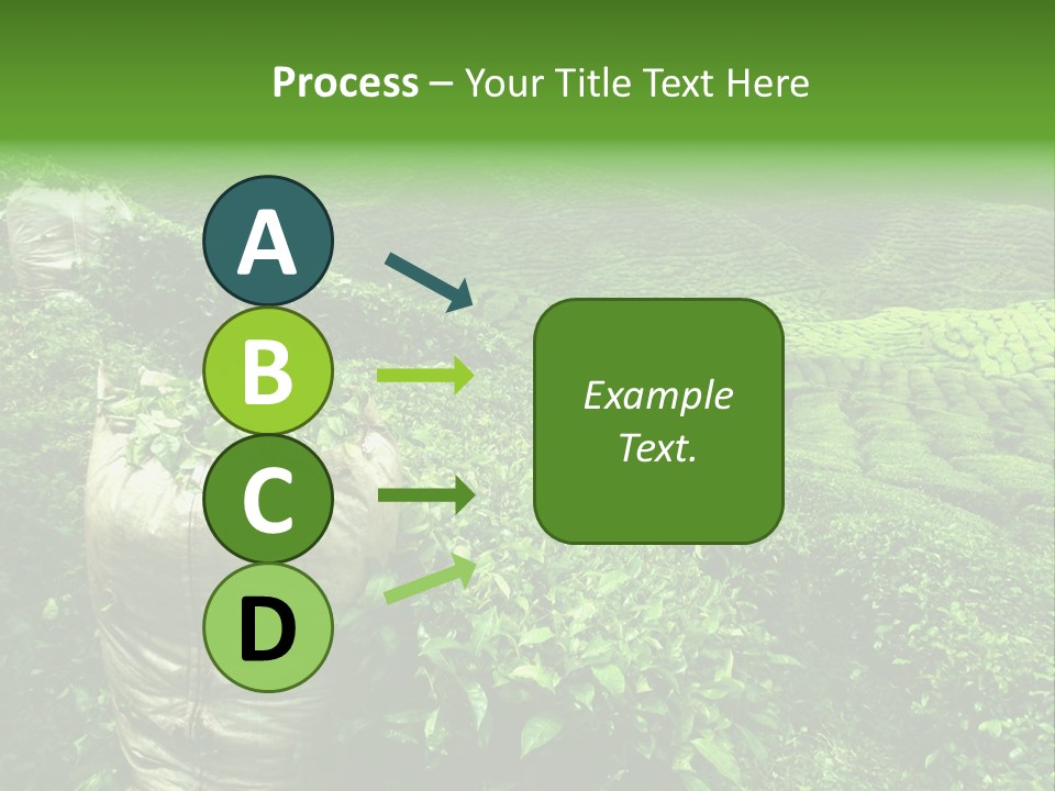 Farmland Japan Landscape PowerPoint Template