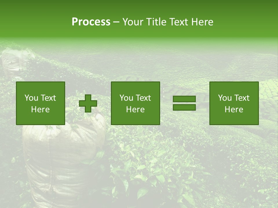 Farmland Japan Landscape PowerPoint Template