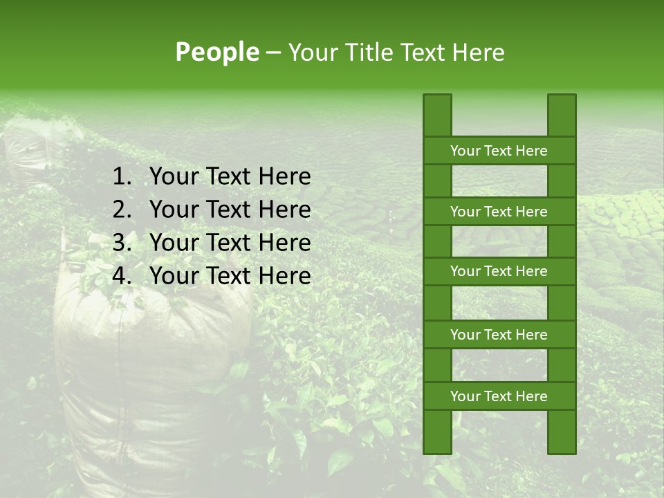 Farmland Japan Landscape PowerPoint Template