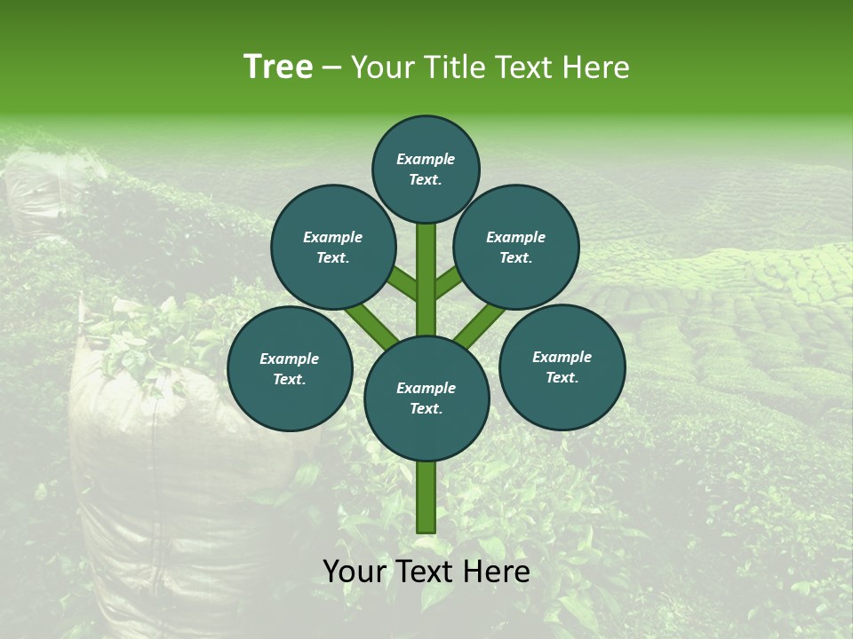 Farmland Japan Landscape PowerPoint Template