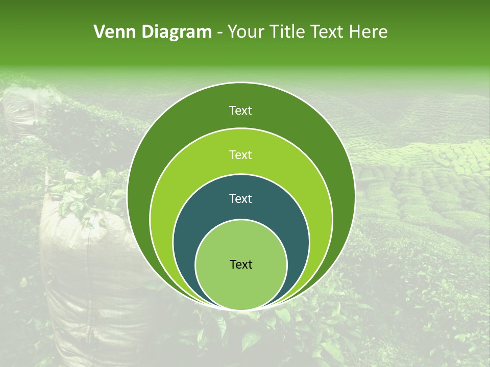Farmland Japan Landscape PowerPoint Template