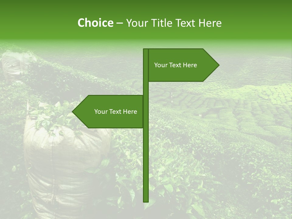 Farmland Japan Landscape PowerPoint Template