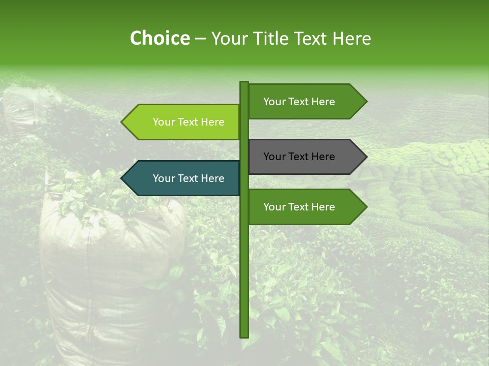 Farmland Japan Landscape PowerPoint Template