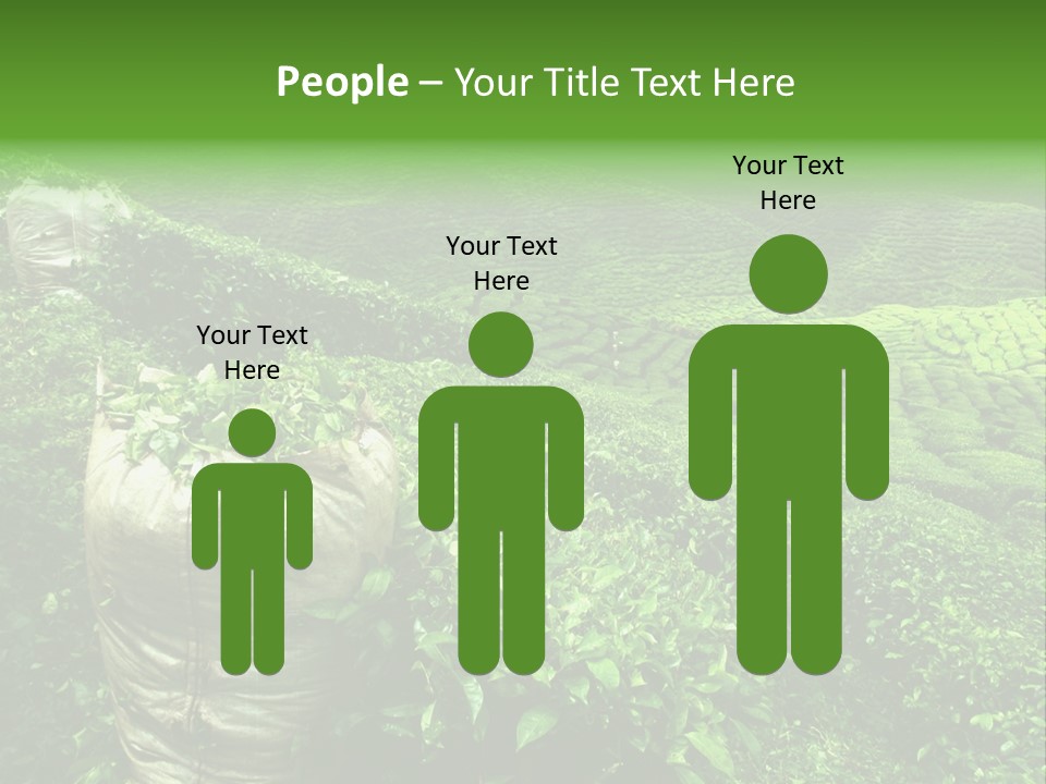 Farmland Japan Landscape PowerPoint Template