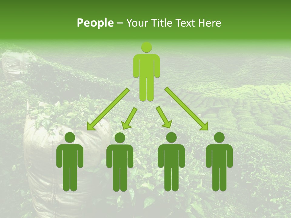 Farmland Japan Landscape PowerPoint Template