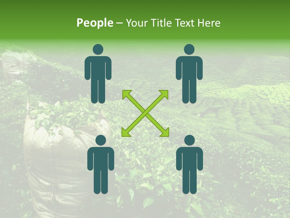 Farmland Japan Landscape PowerPoint Template