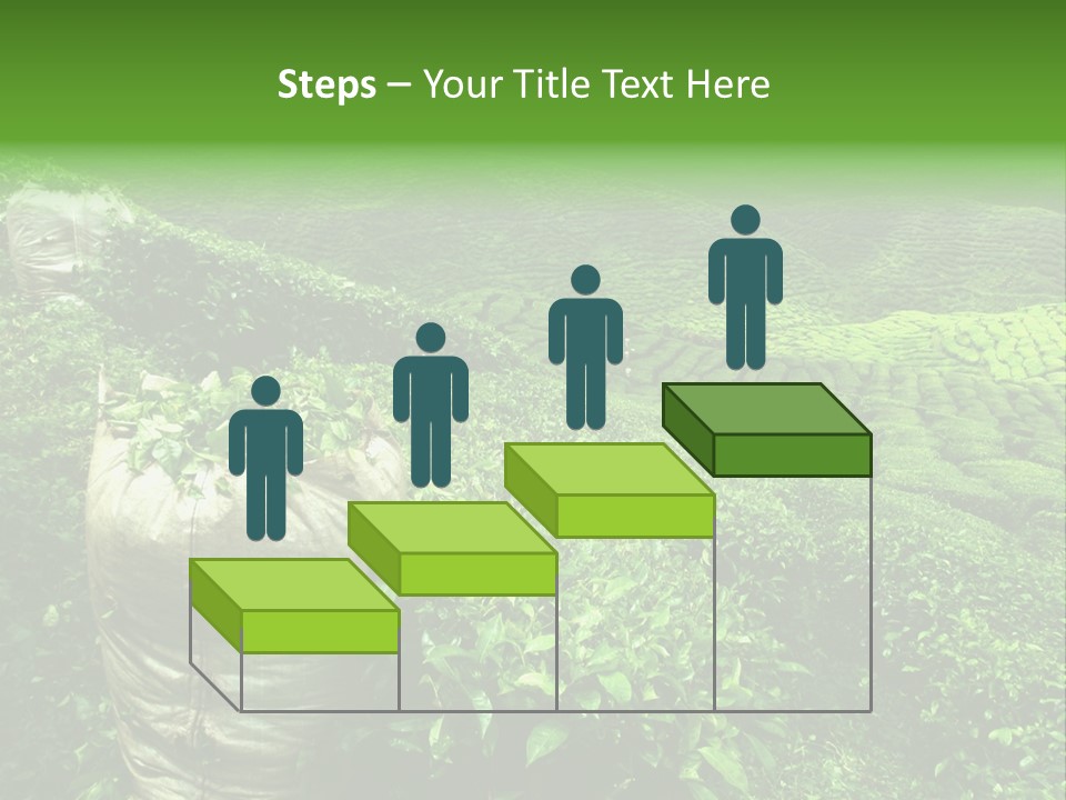 Farmland Japan Landscape PowerPoint Template