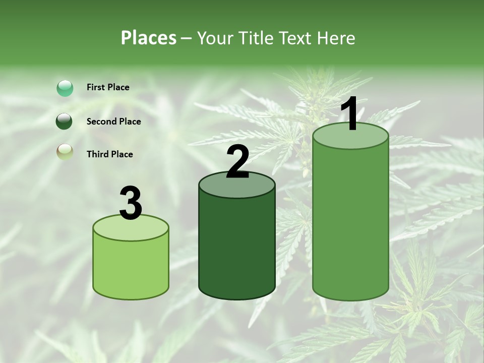 A Plant With Green Leaves Is Shown In This Powerpoint Presentation PowerPoint Template