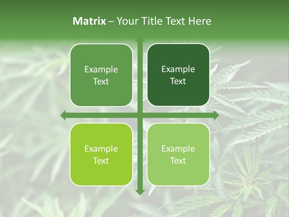 A Plant With Green Leaves Is Shown In This Powerpoint Presentation PowerPoint Template