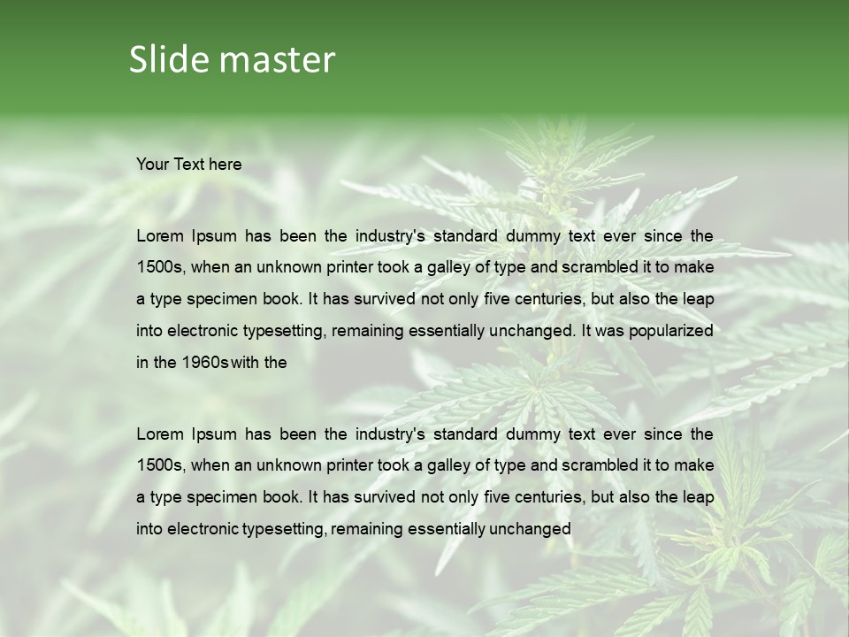 A Plant With Green Leaves Is Shown In This Powerpoint Presentation PowerPoint Template