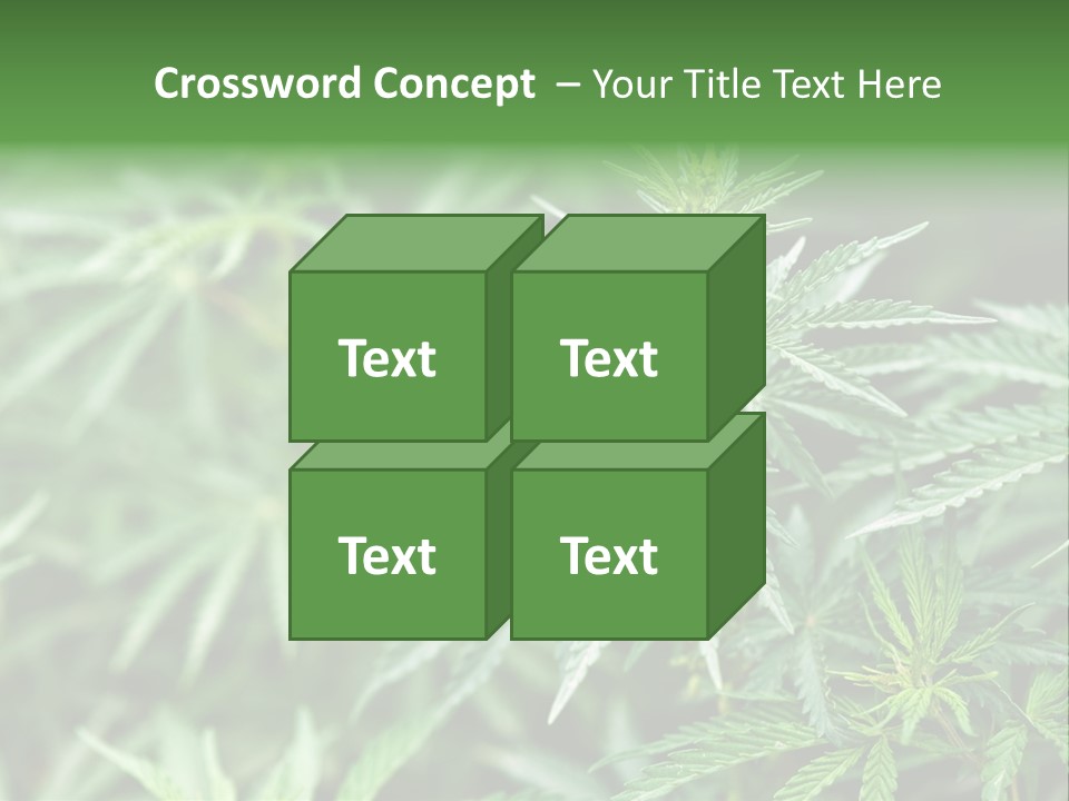 A Plant With Green Leaves Is Shown In This Powerpoint Presentation PowerPoint Template